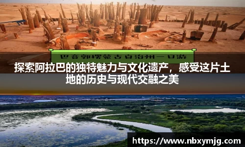 beats365亚洲版官网